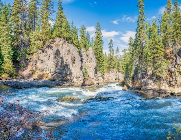 Photo gratuite paysage dans la rivière