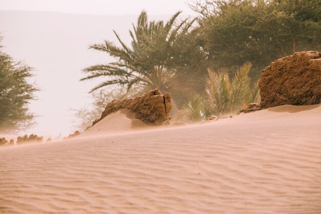 Photo gratuite paysage désertique au maroc