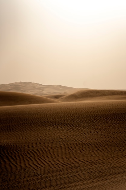 Paysage désertique magnifique et chaleureux