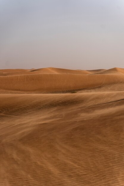 Paysage désertique magnifique et chaleureux