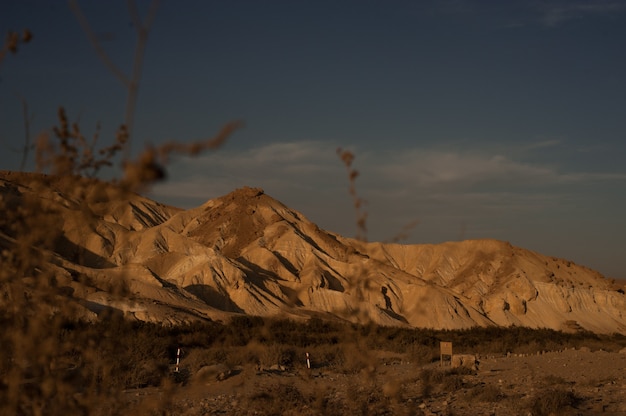 Paysage désertique