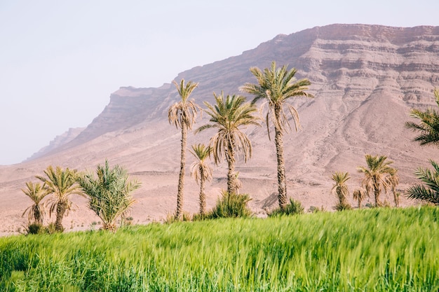 Photo gratuite paysage désertique