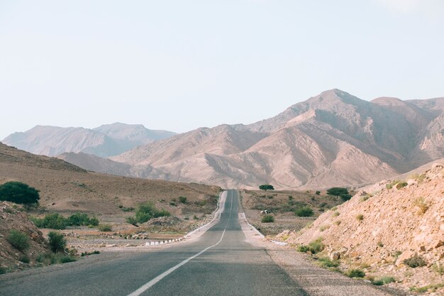 Paysage désertique