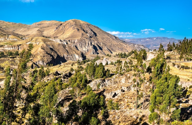 Paysage Du Canyon De Colca Au Pérou Photo Premium