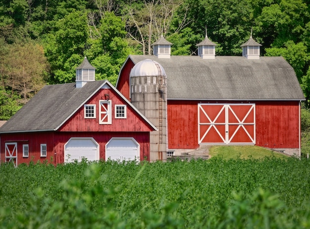 Paysage ensoleillé d'un territoire agricole avec deux granges