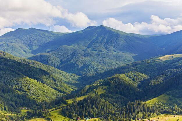 Paysage d'été dans les montagnes et le ciel bleu