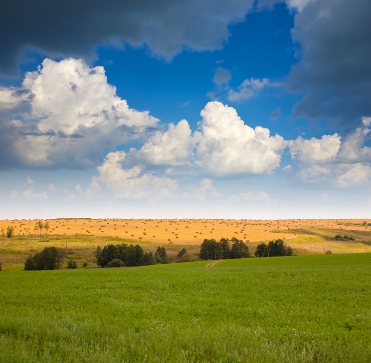 Photo gratuit paysage d'été