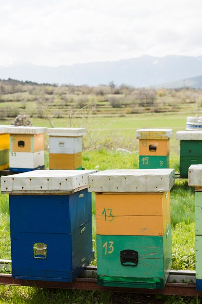 Paysage de la ferme de miel