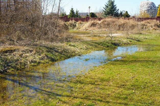 Paysage d'une flaque d'eau sur un champ herbeux avec des arbres bruns séchés sur le côté