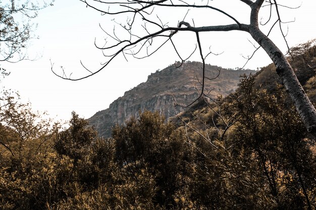 Paysage fond rural montagne nature lumineuse