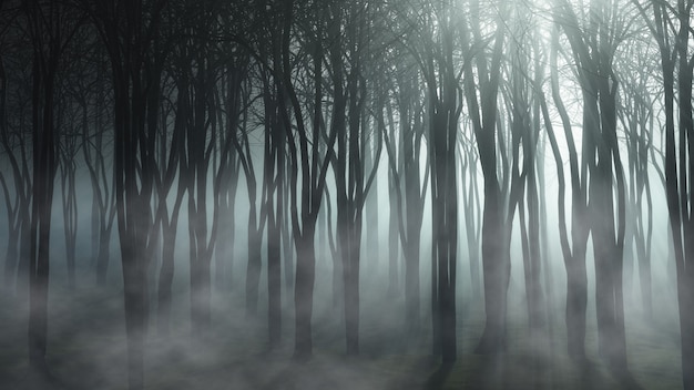 paysage de forêt brumeuse