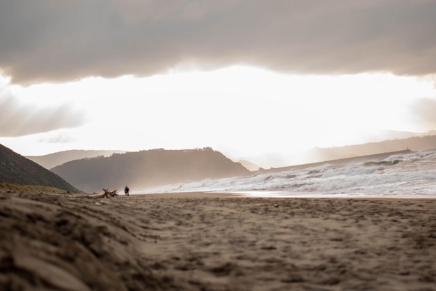 Paysage glorieux de la plage sablonneuse à un coucher du soleil d'or