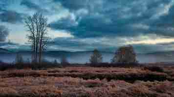 Photo gratuite paysage d'hiver avec ciel nuageux