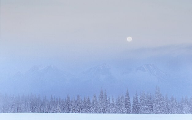 Paysage d'hiver mystérieux montagnes majestueuses en hiver.