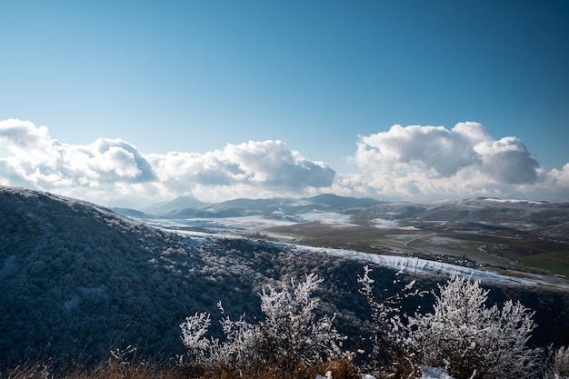 paysage d'hiver