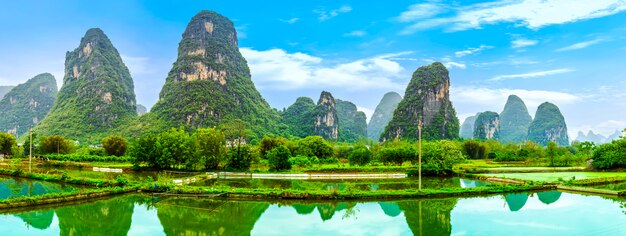 Paysage de l&#39;horizon chinois rivières du tourisme de bambou