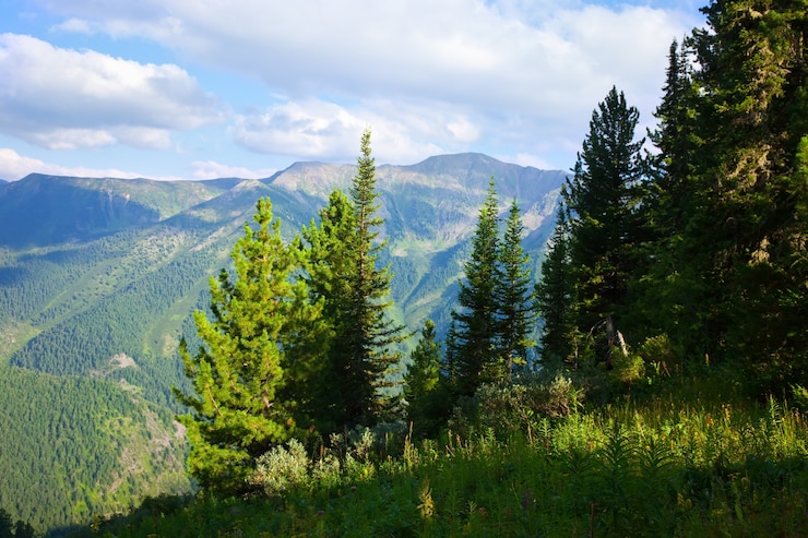 Photo gratuit paysage horizontal des montagnes