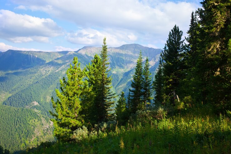 Photo gratuit paysage horizontal des montagnes