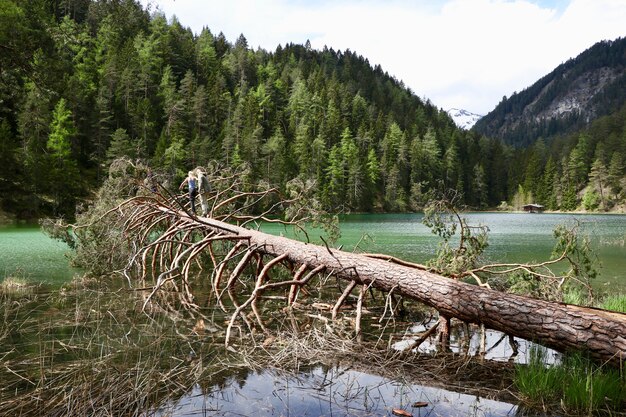 Paysage d'un lac