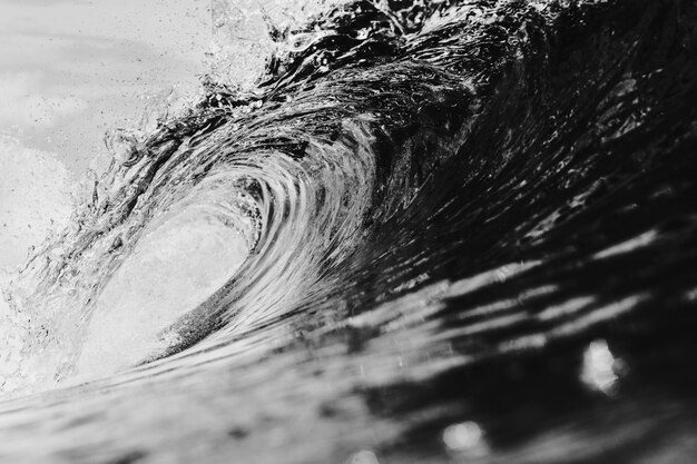 Paysage de mer noir et blanc spectaculaire