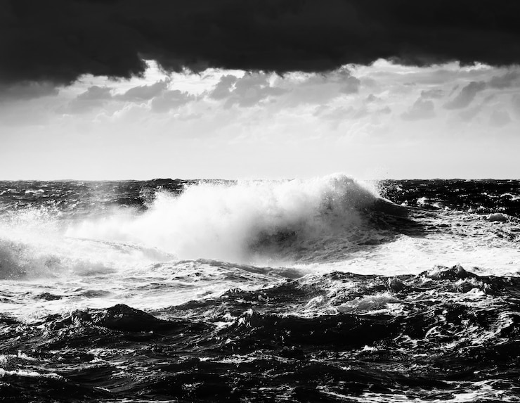 Photo gratuit paysage de mer noir et blanc spectaculaire