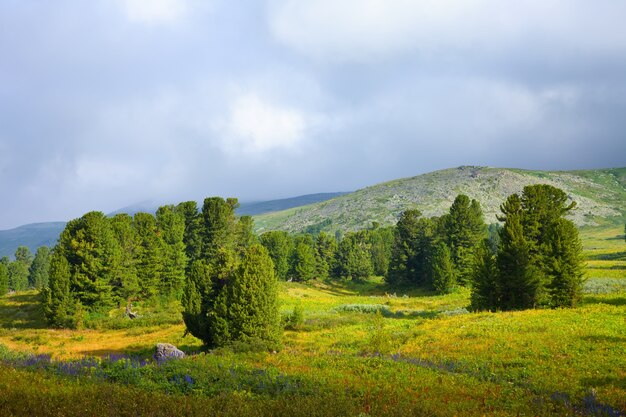 Paysage montagnard simple