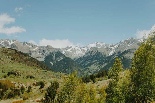 Paysage de montagne avec des arbres verts