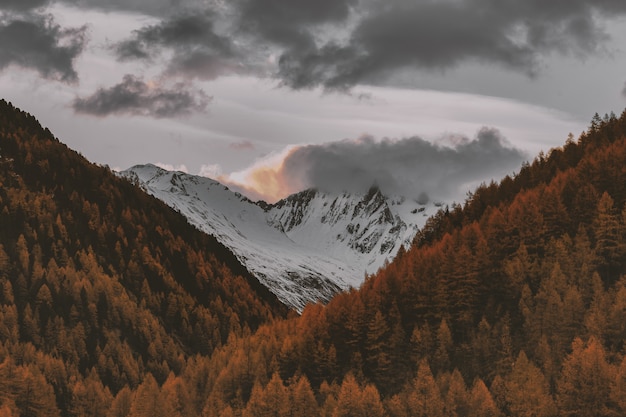 Paysage de montagne enneigée