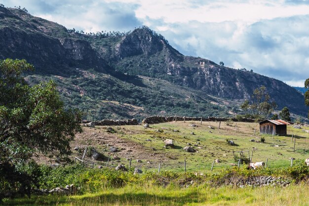 Paysage d'une montagne