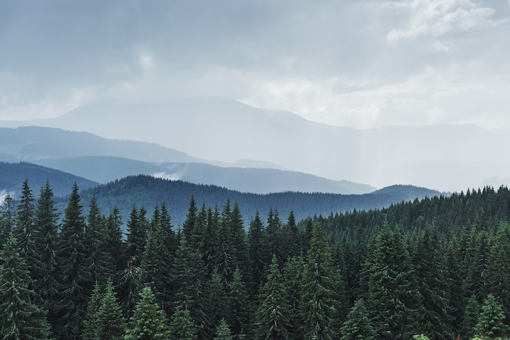 Photo gratuit paysage de montagnes pittoresques après la pluie. carpates d'ukraine.