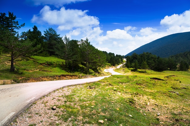 paysage de montagnes avec route