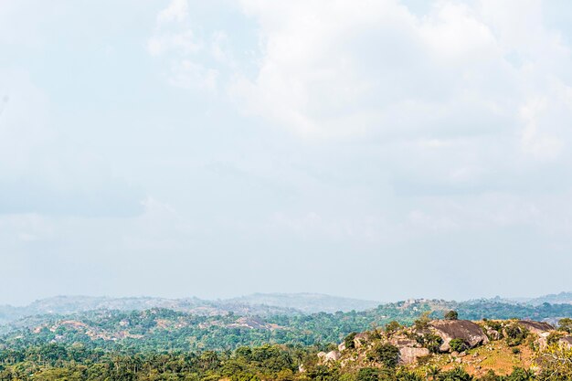 Paysage de nature africaine avec végétation et ciel