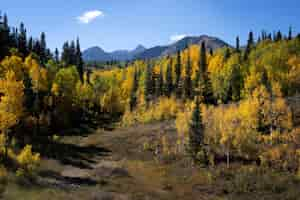 Photo gratuite paysage de la nature et de la végétation des états-unis