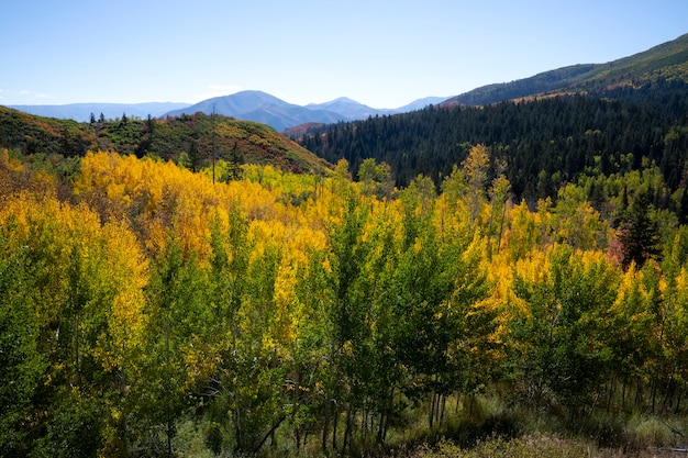 Photo gratuite paysage de la nature et de la végétation des états-unis