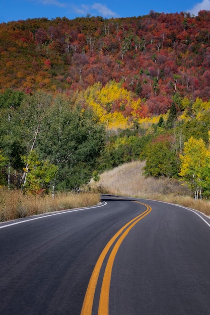 Paysage de la nature et de la végétation des États-Unis