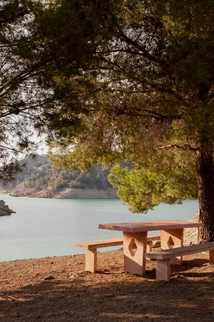 Paysage naturel avec bancs