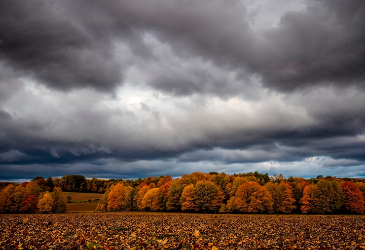 Photo gratuit un paysage naturel époustouflant