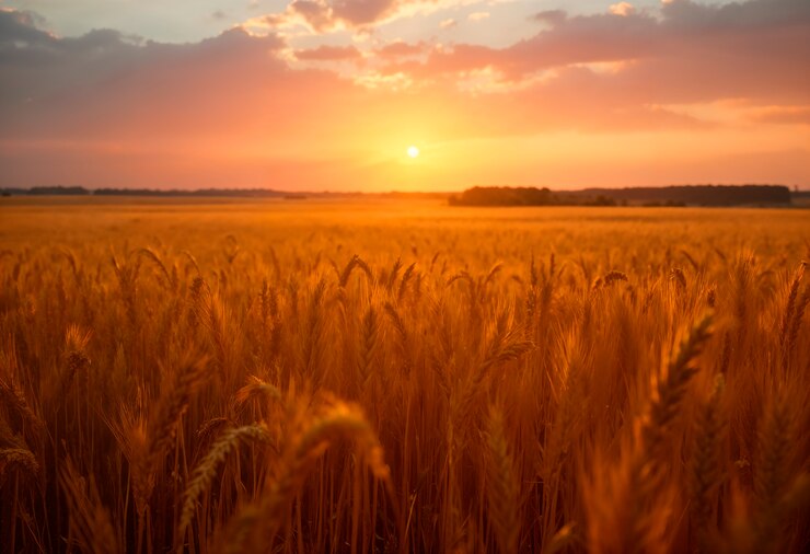 Photo gratuit un paysage naturel magnifique