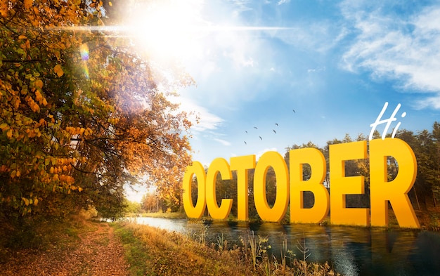 Paysage naturel d'octobre avec des feuilles colorées