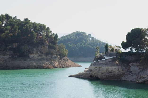 Paysage naturel avec végétation