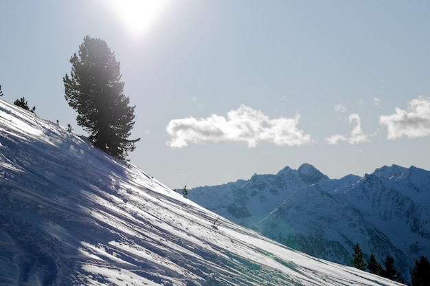 Paysage avec la neige sur une journée ensoleillée