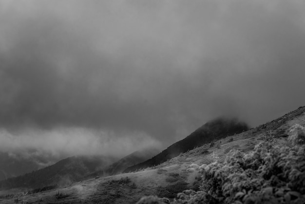 Paysage noir et blanc avec des collines