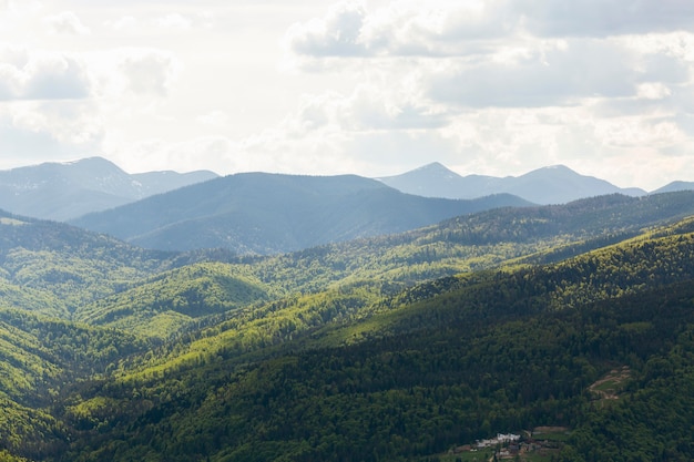 Paysage paisible et magnifique à la lumière du jour