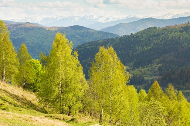 Paysage paisible et magnifique à la lumière du jour