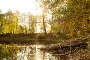 Photo gratuite paysage paisible de mère nature