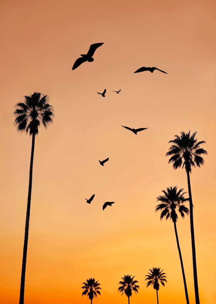 Photo gratuit paysage de palmiers dans des couleurs pastel