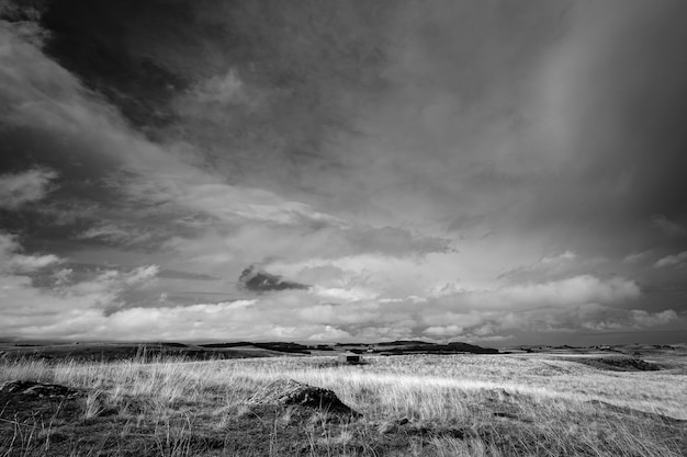 Paysage de prairie naturelle