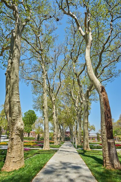 Paysage de printemps dans le parc Gulhane Istanbul