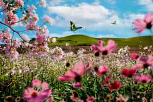 Photo gratuite paysage de printemps avec fleurs et papillons