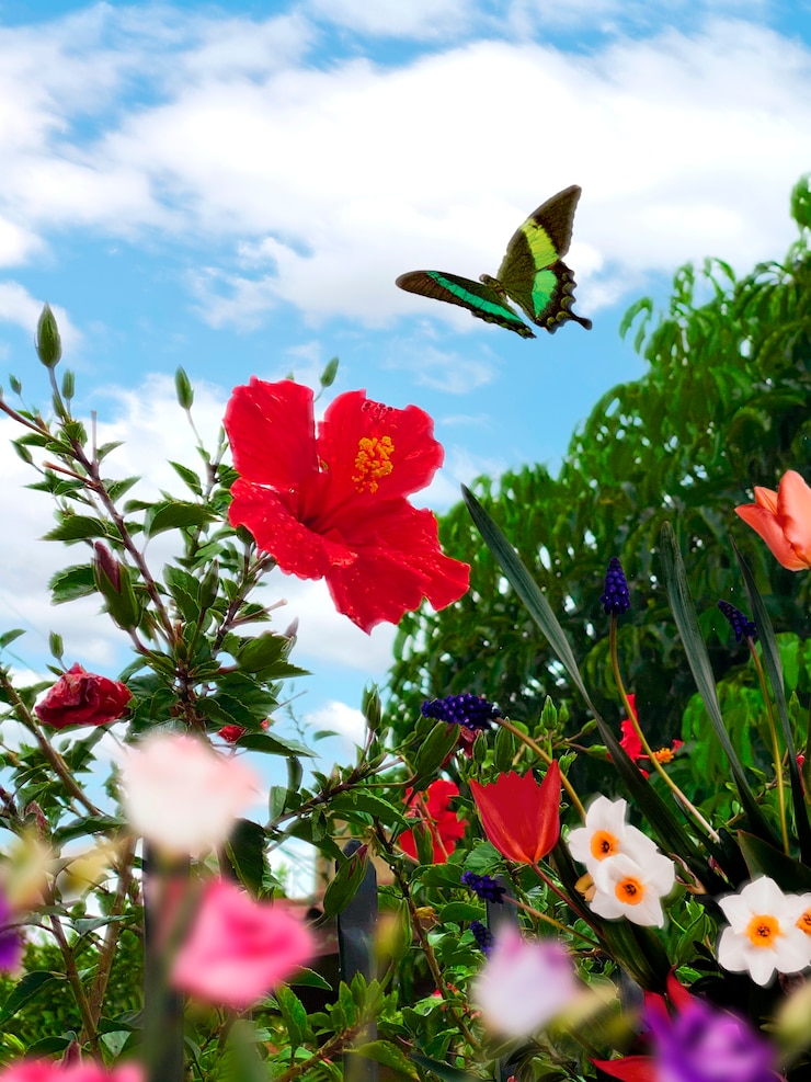 Photo gratuit paysage de printemps avec fleurs et papillons